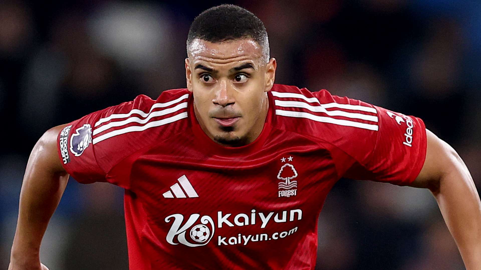 更高期望 更高期望